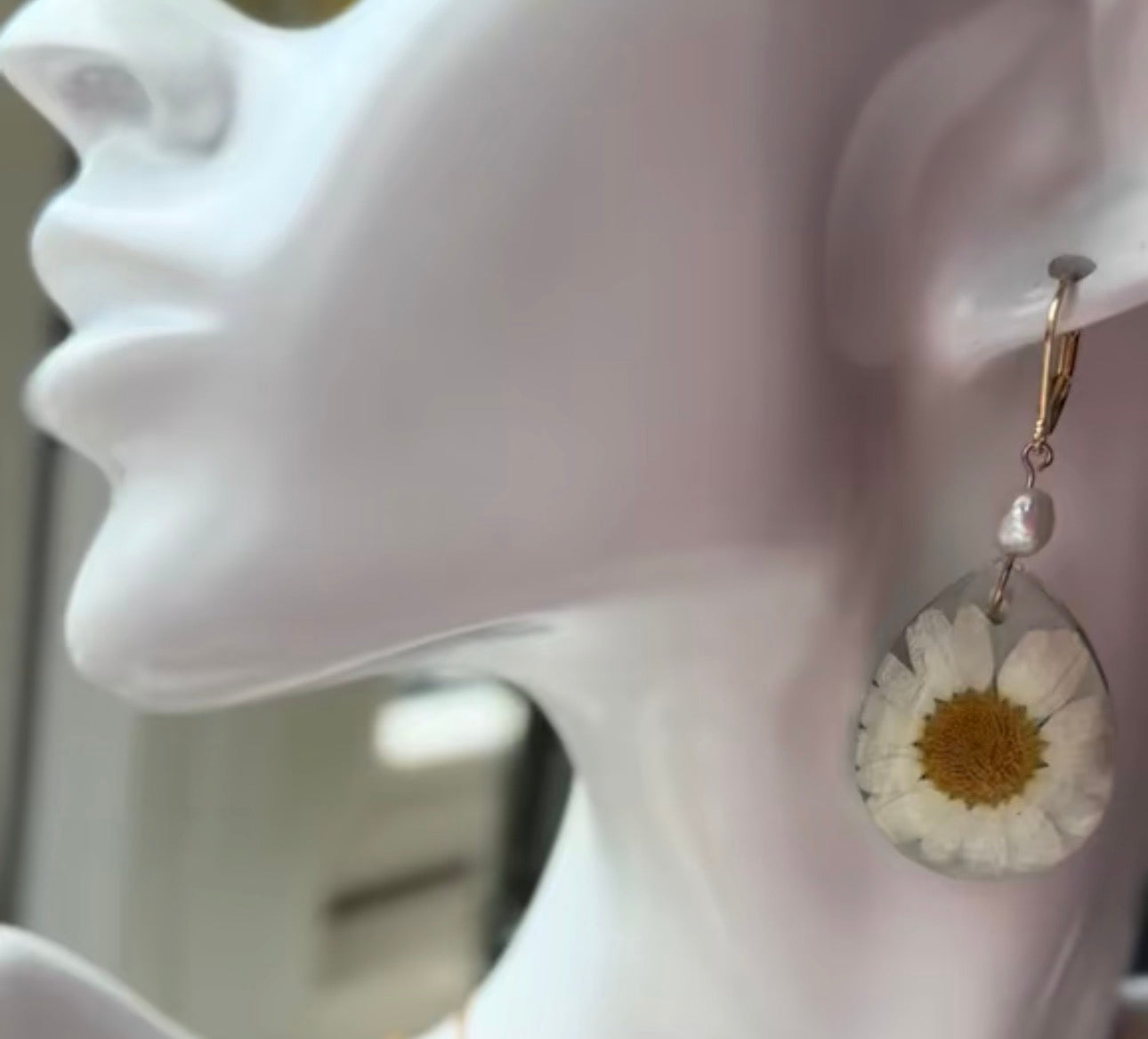 Real daisy flower earrings